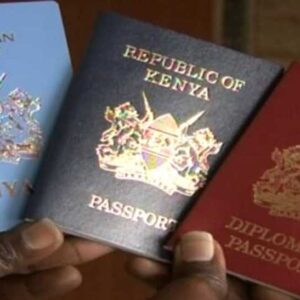 Diplomatic Passports