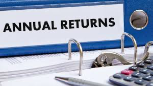 Annual Returns Filing (NGO)