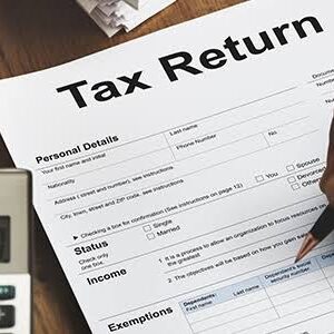 Individual End-Year Income Tax Returns