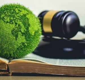 Environmental Licensing and Permits