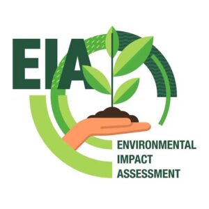 Environmental Impact Assessment (EIA)